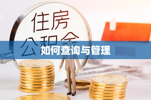 盐亭如何查询与管理