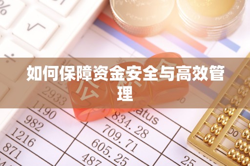 盐亭如何保障资金安全与高效管理