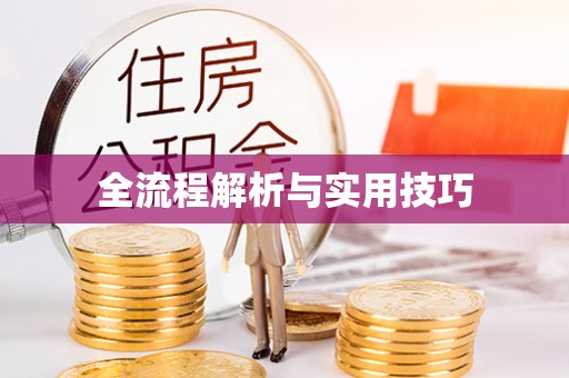 盐亭全流程解析与实用技巧