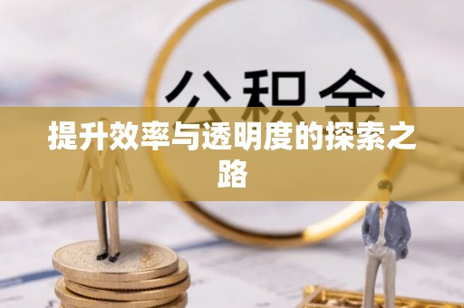 盐亭提升效率与透明度的探索之路