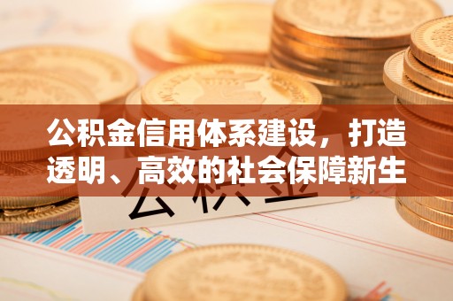 盐亭公积金信用体系建设，打造透明、高效的社会保障新生态