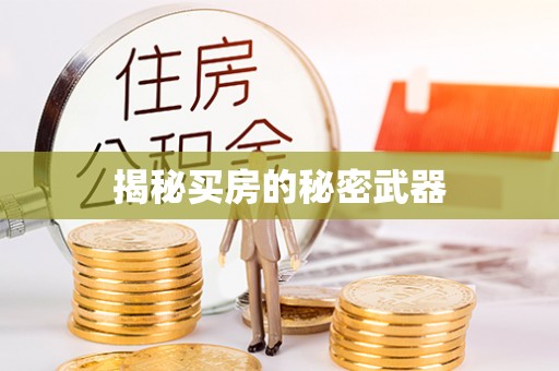 盐亭揭秘买房的秘密武器
