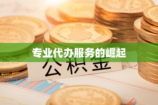 盐亭专业代办服务的崛起