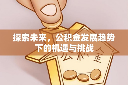 盐亭探索未来，公积金发展趋势下的机遇与挑战