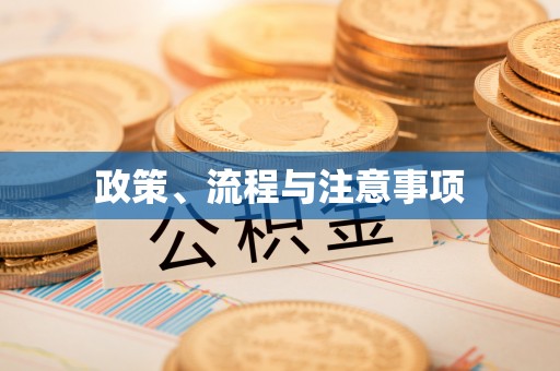 盐亭政策、流程与注意事项