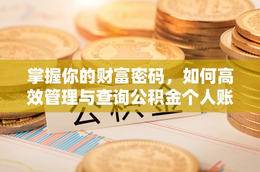 盐亭掌握你的财富密码，如何高效管理与查询公积金个人账户信息
