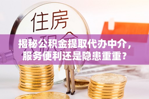 盐亭揭秘公积金提取代办中介，服务便利还是隐患重重？