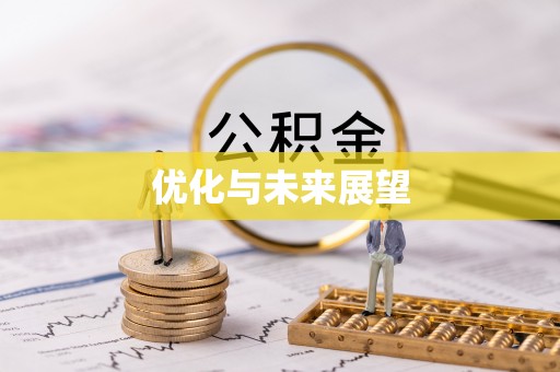 盐亭优化与未来展望