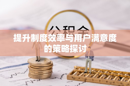盐亭提升制度效率与用户满意度的策略探讨